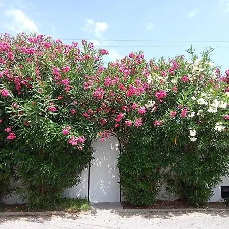 アパート Apartamento Con Aparcamiento Exclusivo En Marbella マルベーリャ